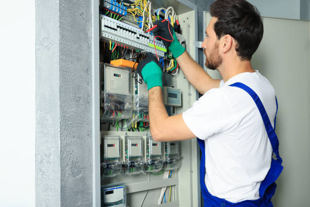 Best Electrical System Inspection  in Carson City, NV